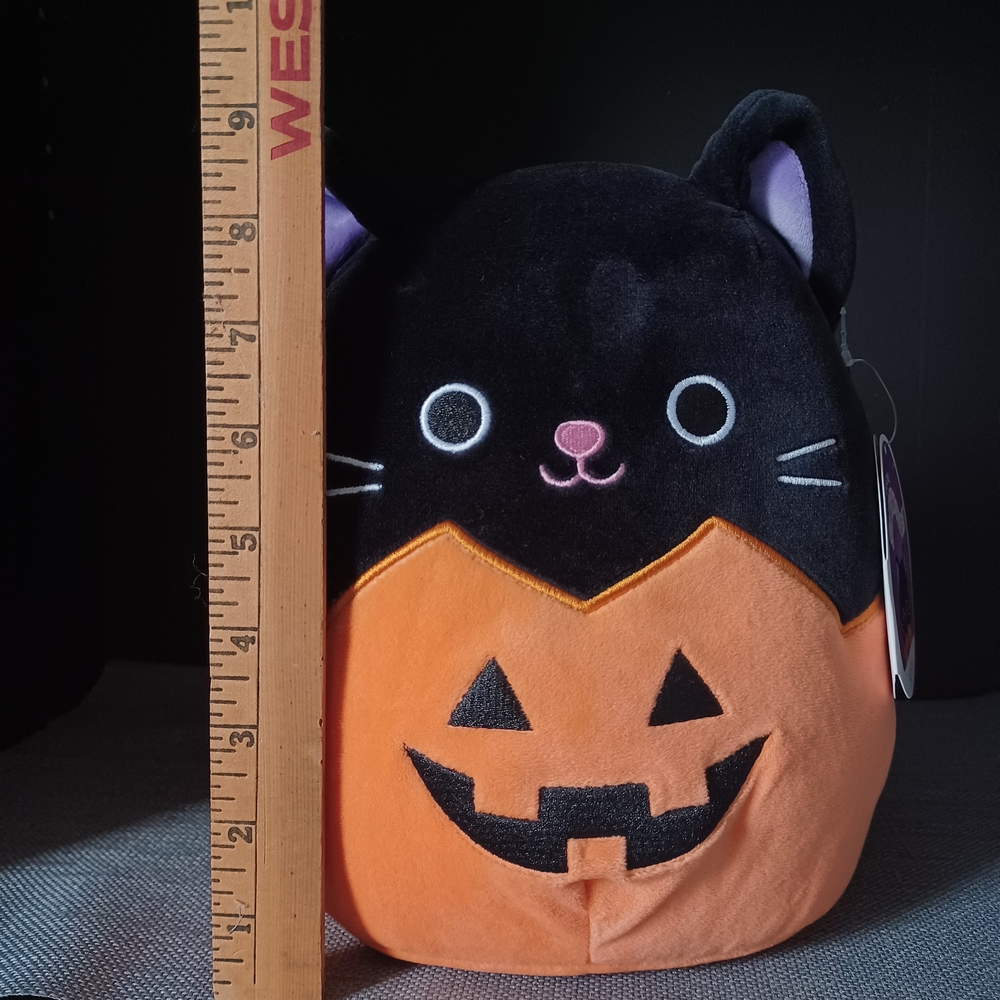 NWT Squishmallows Autumn Black and Orange Halloween Cat Plush - Picture 4 of 7